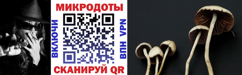Псилоцибиновые грибы прущие грибы  Александровское 